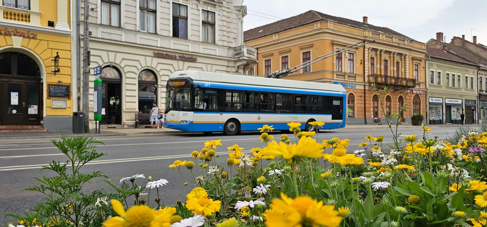 Utazzon díjmentesen a kézilabda meccsre!